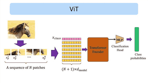 Apa Itu Vision Transformer (ViT)